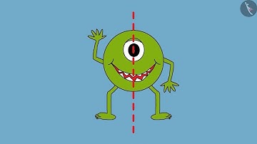 Mirror image and dotted line | Part 3/3 | English | Class 5