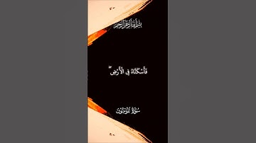 ثم إنكم بعد ذلك... || #ياسر_الدوسري سورة المؤمنون \\ اكتب شيئ تؤجر عليه 🤍 #قرآن #الآخرة #المصحف #fyp