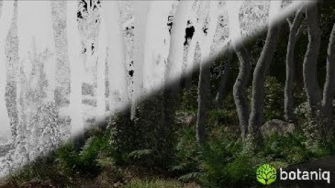 botaniq 6.2 release - Draw ivy and 80+ new assets!