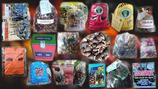 RECOGNIZE FAKE/MAKING PALM OIL SPRUNS