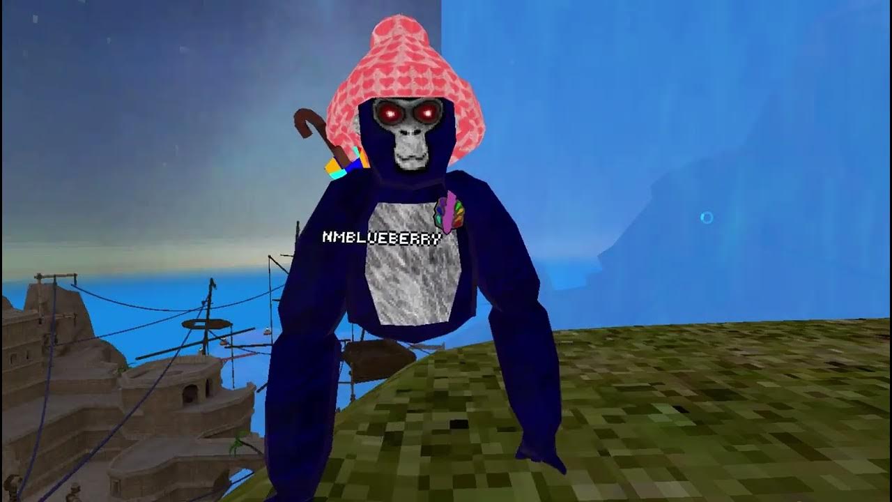 gorilla tag hide and seek to see who picks my tiktok name YouTube