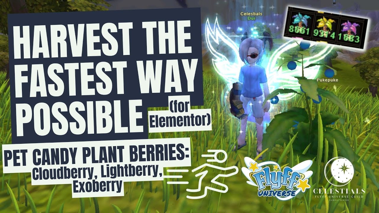 Harvest more berries with this technique (for Elementor) Flyff