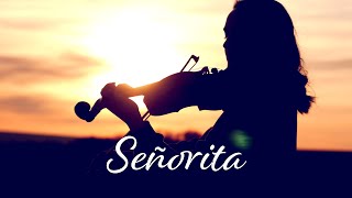 Shawn Mendes, Camila Cabello - Señorita | Orchestral Violin Cover