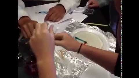 microfluidics laminar flow demo