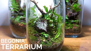 Begonia Terrarium