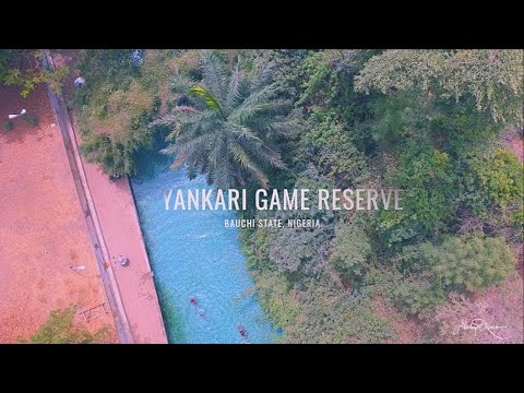 کاوش در Yankari Game Reserve