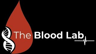 THE BLOOD LAB - HOME TESTING KIT WALKTHROUGH