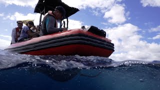 From Shore to the Abyss: An Exploration and Conservation Partnership | Nautilus Live