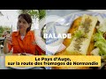 Le pays dauge sur la route des fromages de normandie