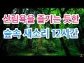 힐링스페셜 - 산림욕을 즐기는 듯한 산속의 물소리와 새소리 ASMR ::Meditation Sound-Various Birds Singing