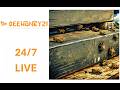 24/7 Bee Hive Live 🐝 | Natural Proof of Work | BeeHoney21