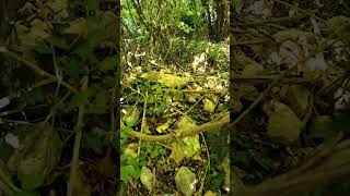 part2 define izleri @definecilerburda @definecideniz