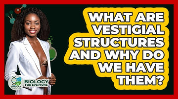 What Are Vestigial Structures And Why Do We Have Them? - Biology For Everyone