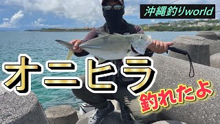 沖縄釣好になります。 Maximum transparency! Try high-quality fishing in the