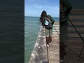 Daytona Pier Shark Attack! Monster on the Line! 🦈💥