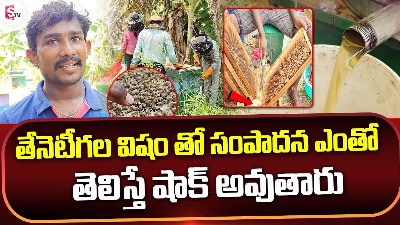 తేనెటీగలతో నెలకు లక్షల్లో సంపాదిస్తున్నాడు Honey Bee Farming Guntur