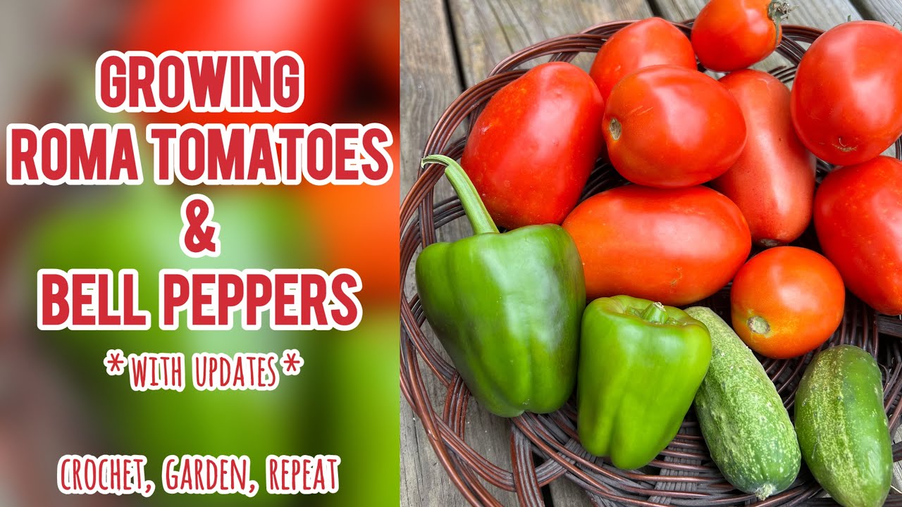 Growing Roma Tomatoes & Bell Peppers🍅🫑Crochet, Garden, Repeat