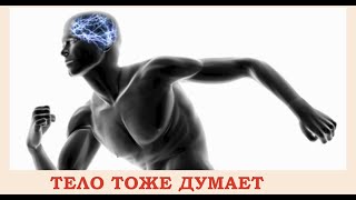 видео: Тело тоже думает картинка: Тело тоже думает