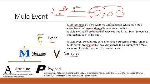 Part 8 MuleSoft in Amharic Language  Mule Event