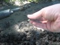 Metal Detecting with a Bounty Hunter Pinpointer