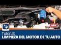 Tutorial: Cómo lavar el motor de tu automóvil en 4 sencillos pasos