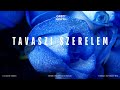 Tavaszi Szerelem (Extended Mix)