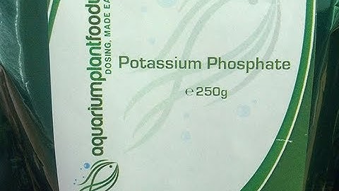 Treat Green Spot Algae with Potassium Phosphate (Blog Spot #2)
