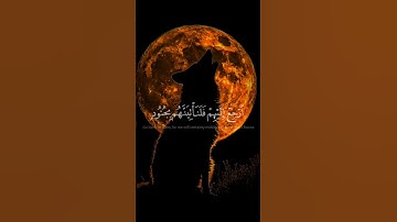 الشيخ ياسر الدوسري قرآن كريم راحة نفسية #foryou #اكسبلور #المشيشي #دويتو #duet #راحة_نفسية #الخليج
