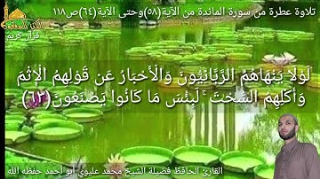@يتلوعلينا القارئ الحافظ فضيلة الشيخ محمد عليوي ماتيسر من سورة المائدة من الآية(٥٨)حتى الآية(٦٤)ص١١٨
