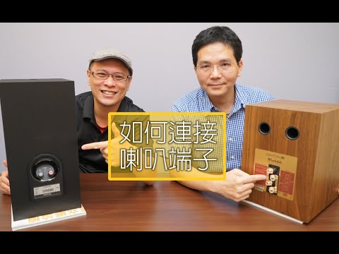【知識】如何連接喇叭端子？當喇叭背面有兩組端子時，該接上面還是接下面？
