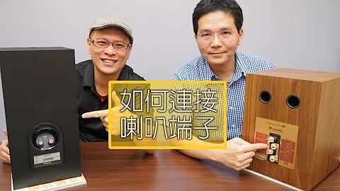【知识】如何连接喇叭端子？当喇叭背面有两组端子时，该接上面还是接下面？ - 天天要闻