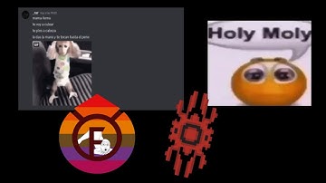 INTENSE PVP Meteor client VS Future client