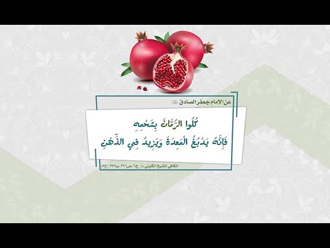 كلوا الرمان بشحمه فإنه يدبغ المعدة و يزيد في الذهن