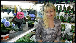 ПОЧЕМУ СЕМЕНА НЕ ВСХОДЯТ ? 10 причин плохой всхожести семян ! ПОЧЕМУ СЕМЕНА НЕ ВСХОДЯТ ? 10 причин плохой всхожести семян !