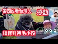 大陸 四姑感動台灣人這樣對待狗狗❗️直播中表妹發現台灣天空特別美