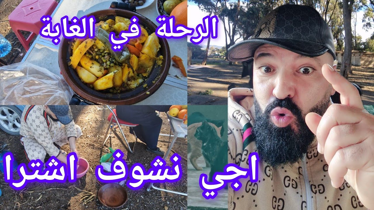 الرحلة في الغابة اجي تشوف اشترا 10/02/2026