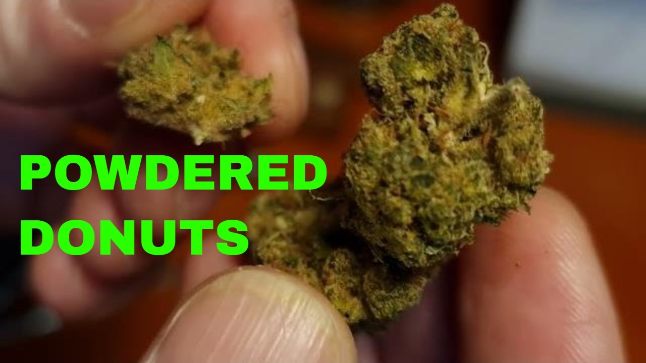 POWDERED DONUTS Althea T25 25 THC legalcannabis REVIEW YouTube