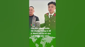 Chó THA XƯƠNG nhiều lần nhưng không ai để ý: MANH MỐI bị bỏ qua suốt hàng năm trời?| TBL News