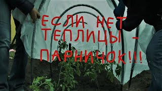 Если нет теплицы, используйте парничок!!!