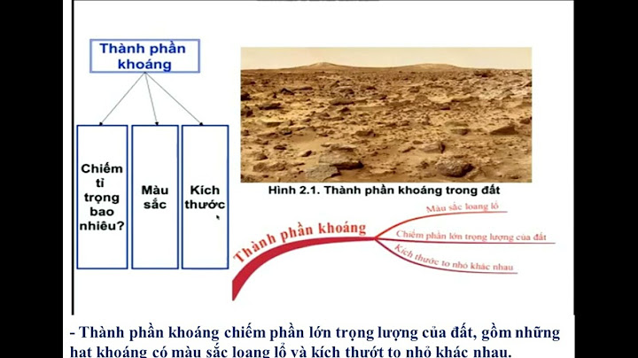 Các nhân tố hính thành dất nh thế nào