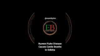 Rumen Fluke Disease Causes Cattle Deaths in Odisha | 2026