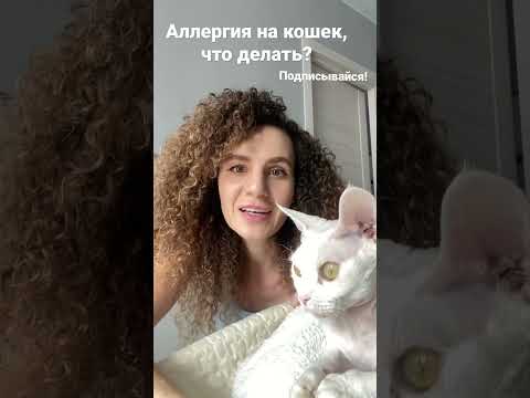 Аллергия на кошек, что делать? #shorts