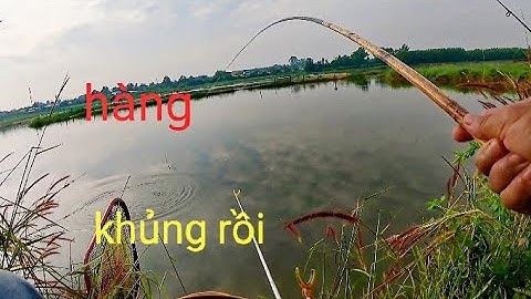 Câu cá hồ tự nhiên đụng phải hàng khủng rồi//câu cá sông Đồng nai