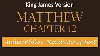 Matthew 12 | KJV DRAMATIZED AUDIO BIBLE WITH TEXT