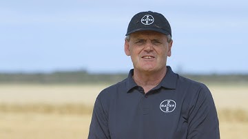 Guinness World Records™ title: Highest Wheat Yield | Full story