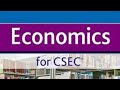 CSEC ECONOMICS: The Consequences of Market Failure