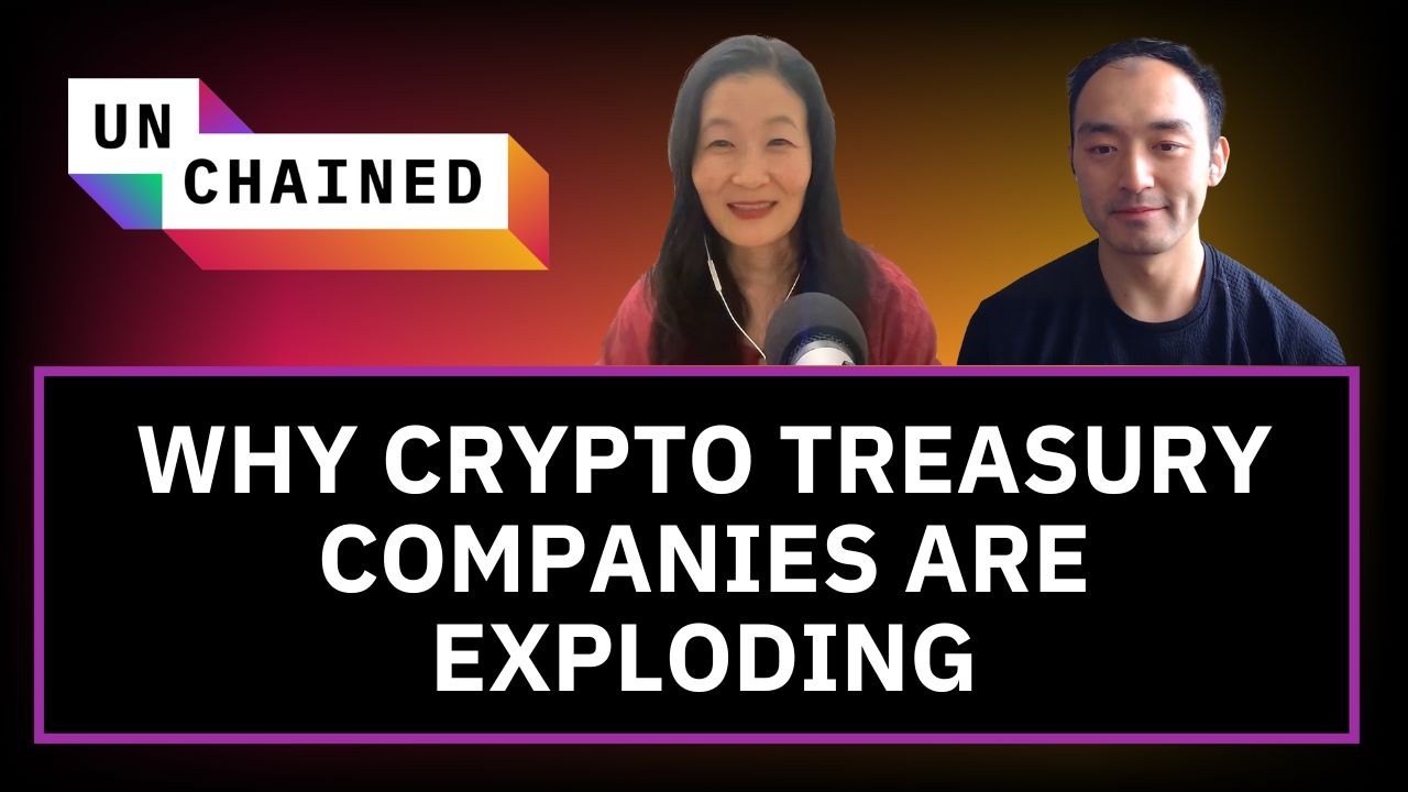 Crypto Treasury Companies Are All the Rage. Do They Pose Industry Risk?