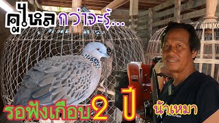 นกเขาใหญ่…คูไหล…กว่าจะรู้ต้องรอฟังเกือบ 2 ปี