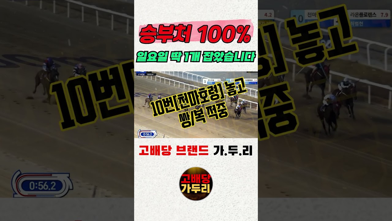 고배당 마필이 궁금해??승부경주 원틀로 때렸습니다🎯경마🐎 경마예상🟢 경마 고배당🟢 서울경마🟡부산경마🔵제주 경마🎯고배당 가두리🐎 경마 고배당 적중