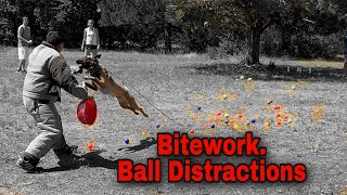 PSA Bitework. Ball Distractions.